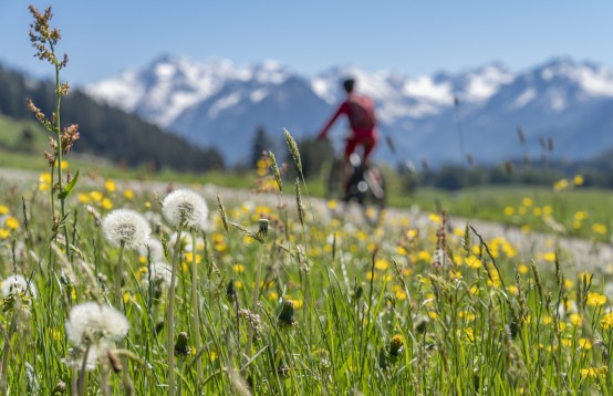 Een helm voor de snelle Speedpedelec e-bikes